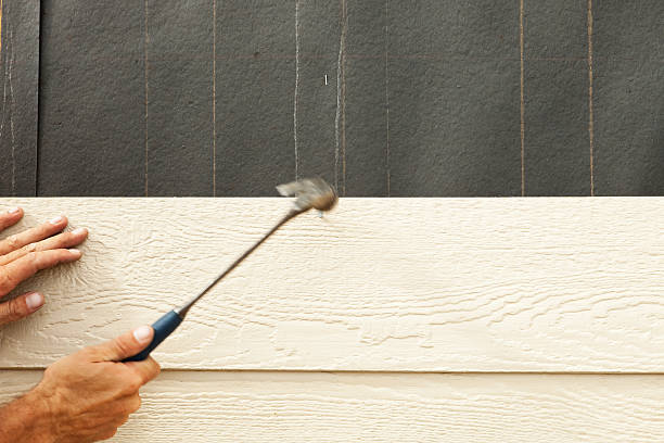 Best Vinyl Siding Installation  in Milbank, SD